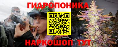 скорость Заводоуковск