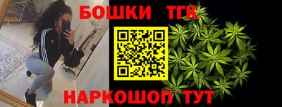 тгк Жуковский