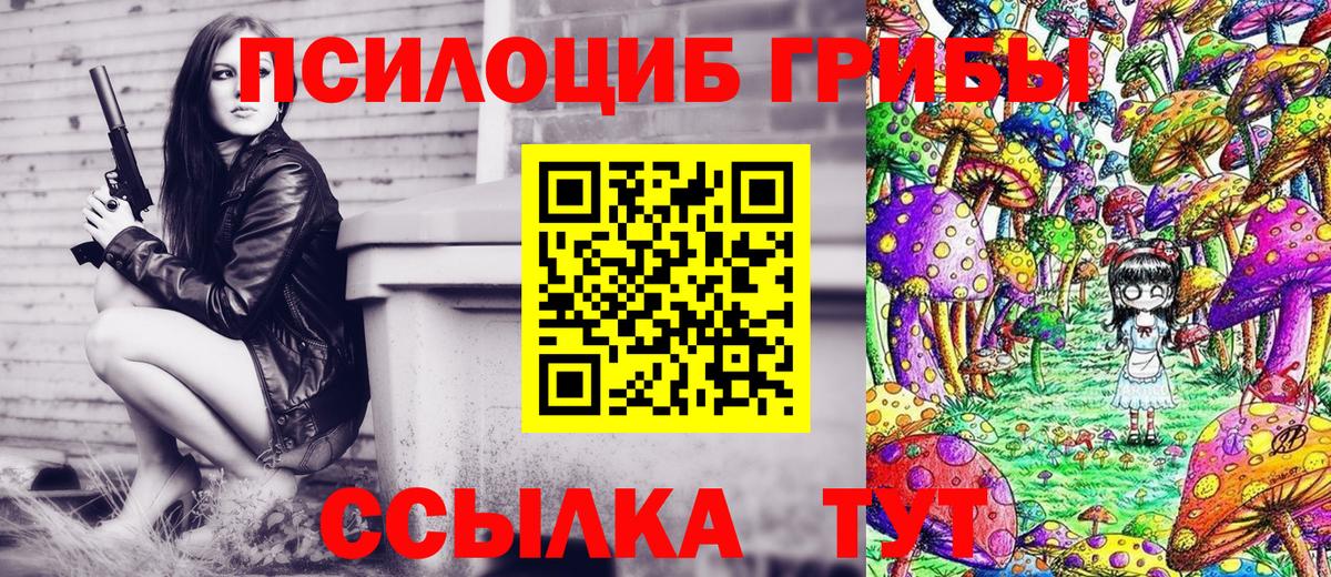Михайловск  Галлюциногенные грибы мицелий  Вход с VPN  Галлюциногенные грибы MAGIC MUSHROOMS 